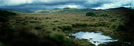The high moorlands. Javier Yanes/Kenyalogy.com