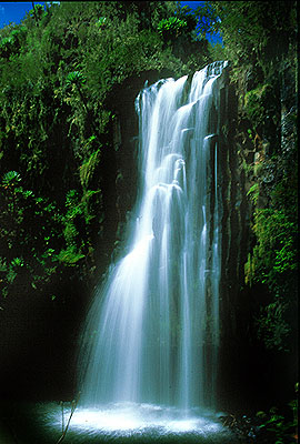 Magura Falls, Parque Nacional de Aberdare. Javier Yanes/Kenyalogy.com