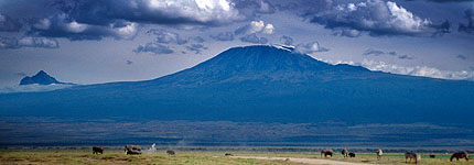 Animales contra el telón de fondo del Monte Kilimanjaro. Javier Yanes/Kenyalogy.com