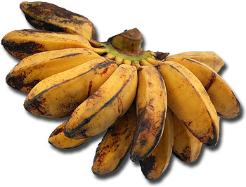 Plátanos. Modificado de Hariadhi/Wikipedia