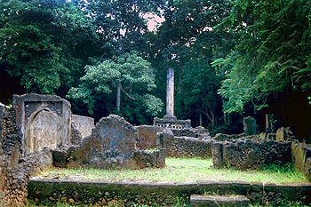 Ruinas de Gede, bosque de Arabuko Sokoke. Javier Yanes/Kenyalogy.com