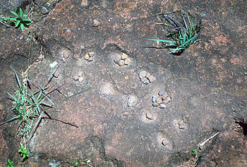 Juego de Bau tallado en la roca en Hyrax Hill, Nakuru. Javier Yanes/Kenyalogy.com