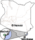 Arabuko Sokoke Forest Reserve
