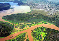 Tana Delta. Ramsar