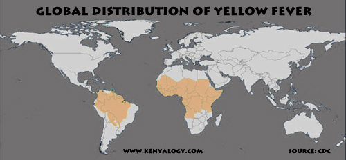 Yellow fever global distribution. Map by Javier Yanes/Kenyalogy.com. Source: CDC